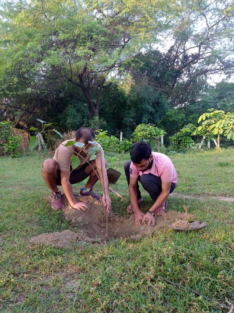 DIYA Delhi tree plantation 
